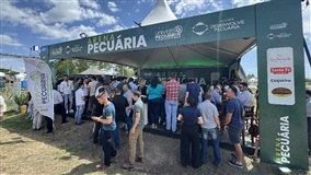 Abertura da Colheita do Arroz