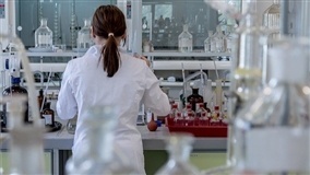 Genes de fixação de nitrogênio ajudam a cultivar mais