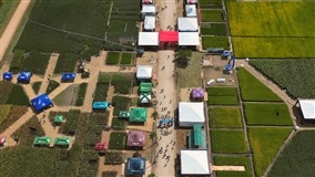 Abertura da Colheita do Arroz