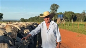 Trabalho rural sustentável no Pantanal é valorizado