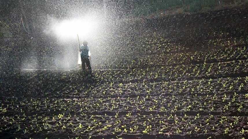 Gigante agropecuario realiza reestructuración global