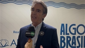 Congresso Brasileiro do Algodão