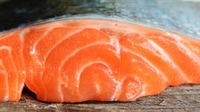 Salmão pode combater a obesidade