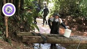 Mulheres na ciência