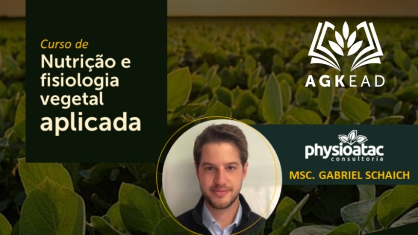 20hr/aula
