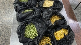 Vigilância agropecuária