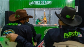 Famato leva bovinocultura para a Arinos Show Agro em Juara