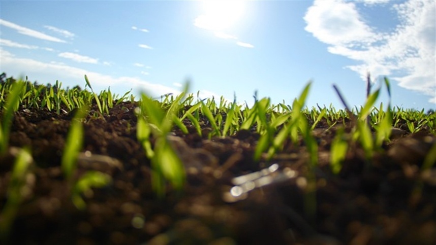 Jóvenes líderes do agro apresentam posicionamento sobre uso sustentável do solo