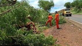 Governo destina verba para recuperação no Paraná