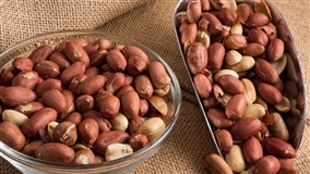 Diversificação impulsiona nova fase do agronegócio