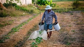 Agricultura Familiar