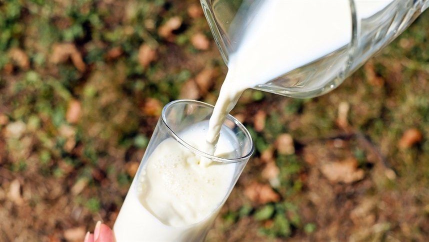 Dia Especial sobre bovinocultura de leite mostrou tecnologia