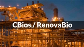 Sobe para 216 o número de certificações da ANP para emissão de CBios