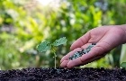 Fertilizantes e benefícios