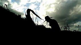 Projeto de estímulo contra coronavírus dos EUA adiciona bilhões em apoio a agricultores