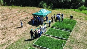 Dia de Campo