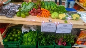 Agricultura familiar