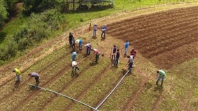 Inscrições são gratuitas 