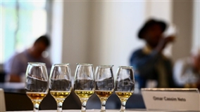 Concurso avalia qualidade da cachaça paulista