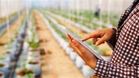 Dia de Campo virtual para discutir como reduzir custos no inverno