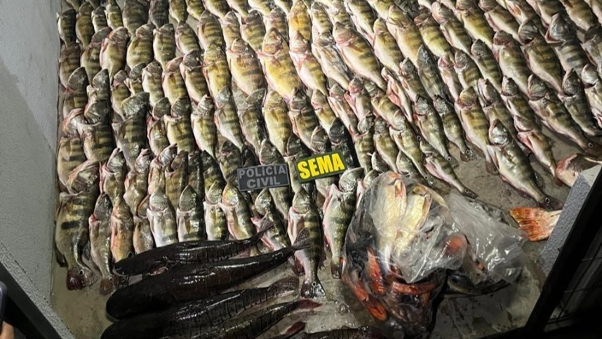Sema apreende pesca e carne de caça ilegal em MT