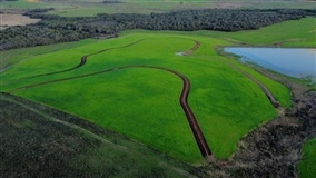 Operação Terra Forte