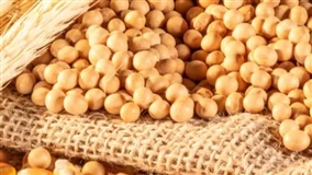 Produtividade