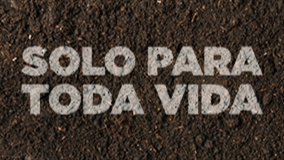 Ecossistema Integrado