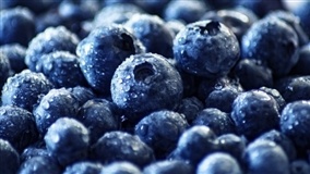 Produção de mirtilo é estimulada entre agricultores do DF