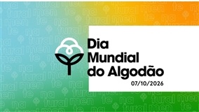 Dia Mundial do Algodão