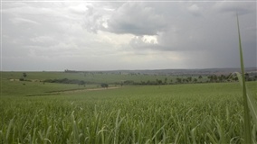 Seminário do IAC aborda conservação do solo em Campinas
