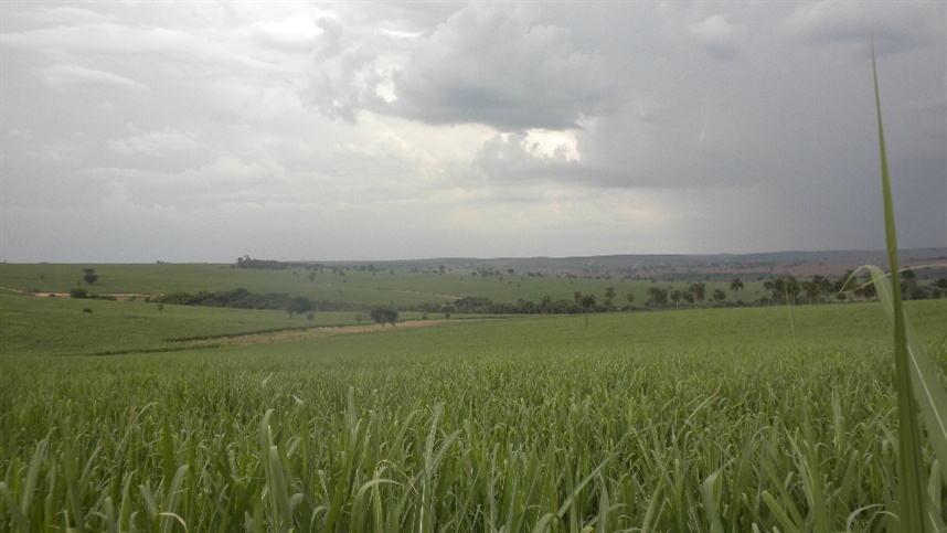 Seminário do IAC aborda conservação do solo em Campinas