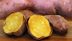Produção