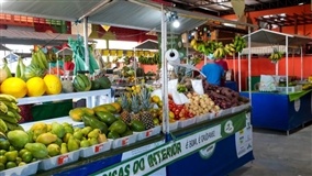Governo investe R$22 milhões na agricultura familiar do RN