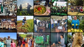 Senar Goiás amplia cursos gratuitos para o agro