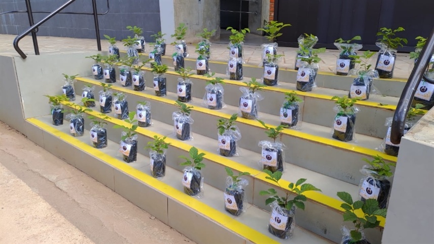 A medida foi aprovada na Comissão de Agricultura e Reforma Agrária