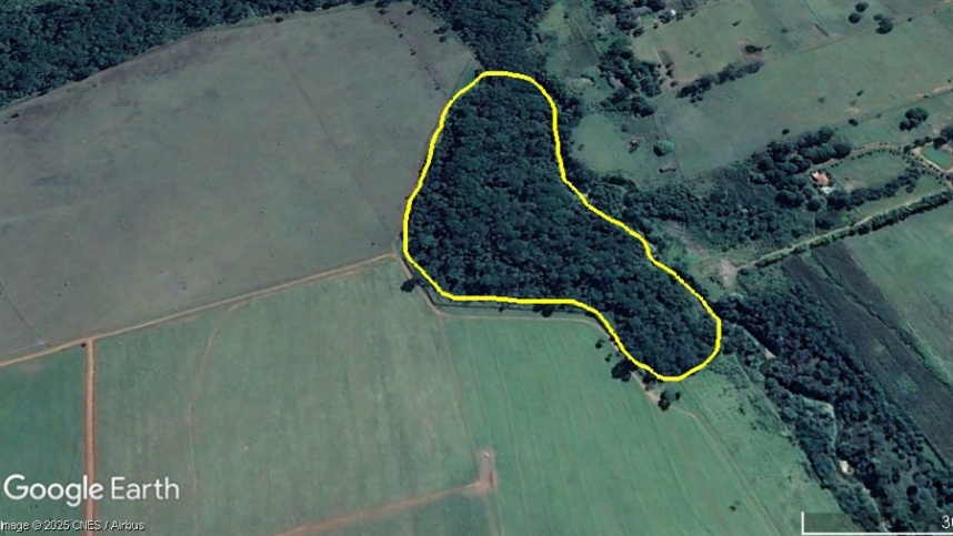 Ferramenta valoriza restauração de matas ciliares no Cerrado