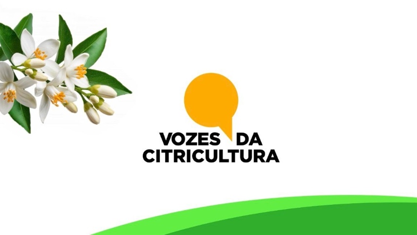 Vozes da Citricultura - Família Palhares