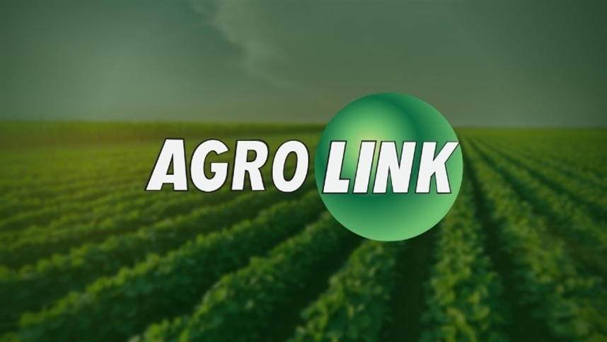 AGROLINK  O Portal do conteúdo Agropecuário. Confira: Noticias