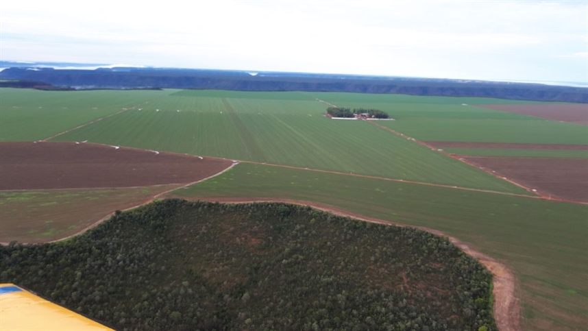 AGROLINK  O Portal do conteúdo Agropecuário. Confira: Noticias  atualizadas, Previsão do tempo, cotações, sistemas especialistas de  produtos agro, Colunistas, Classificados gerais.