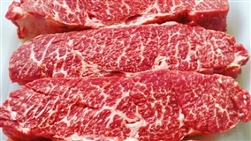 Ministra anuncia abertura do mercado da Índia à carne de frango brasileira