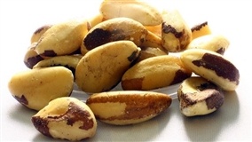 Farinha de castanha-do-brasil supera trigo em proteína