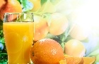 Exportações de suco crescem na safra 25/26, mas receita cai