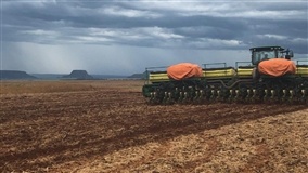 Segredo das altas produtividades está na semeadura
