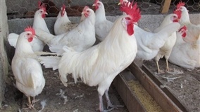 Inscrições abertas 