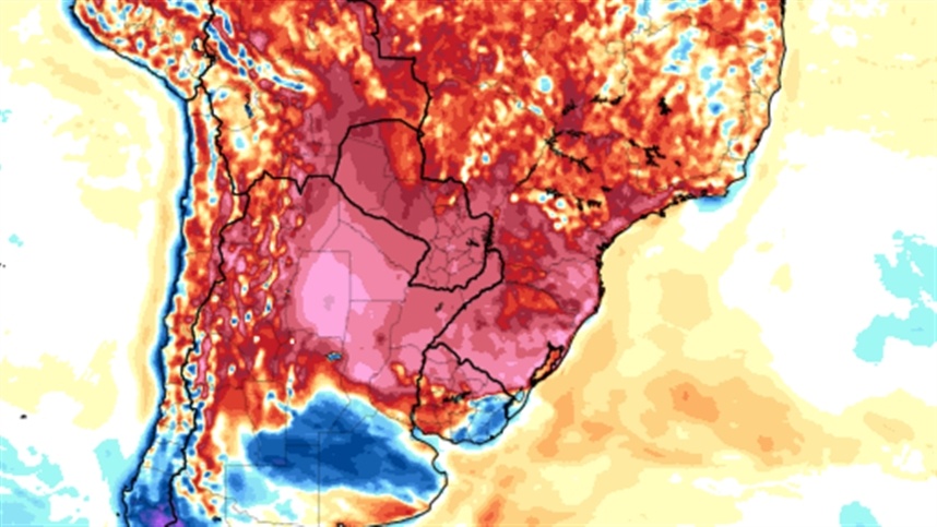 Onda de calor pode reduzir a produtividade da soja no Sul do Brasil e Argentina.