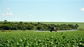 RS exige que curso de aplicador de agrotóxico seja presencial