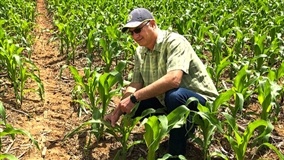 Inteligência artificial