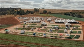 Horticultura