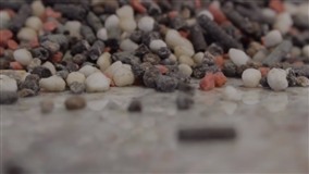Importação de fertilizantes bate recorde em 2019